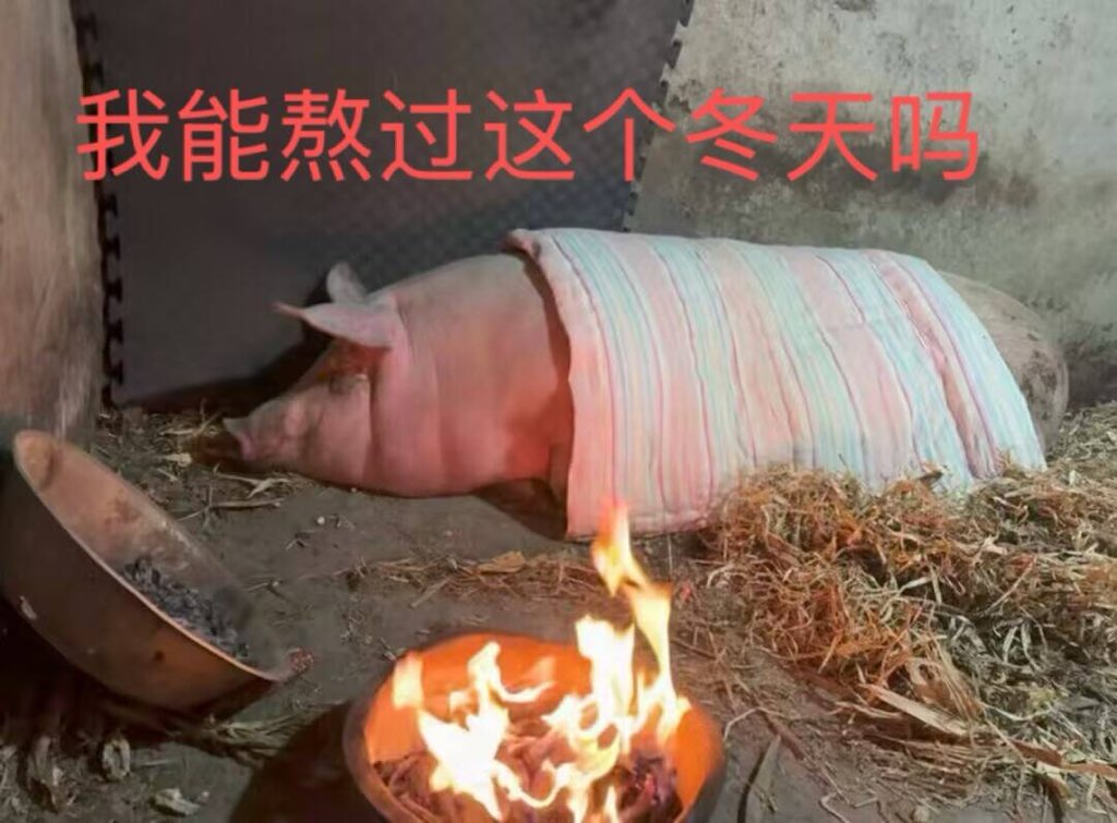 青森的头像-圣杯大百科