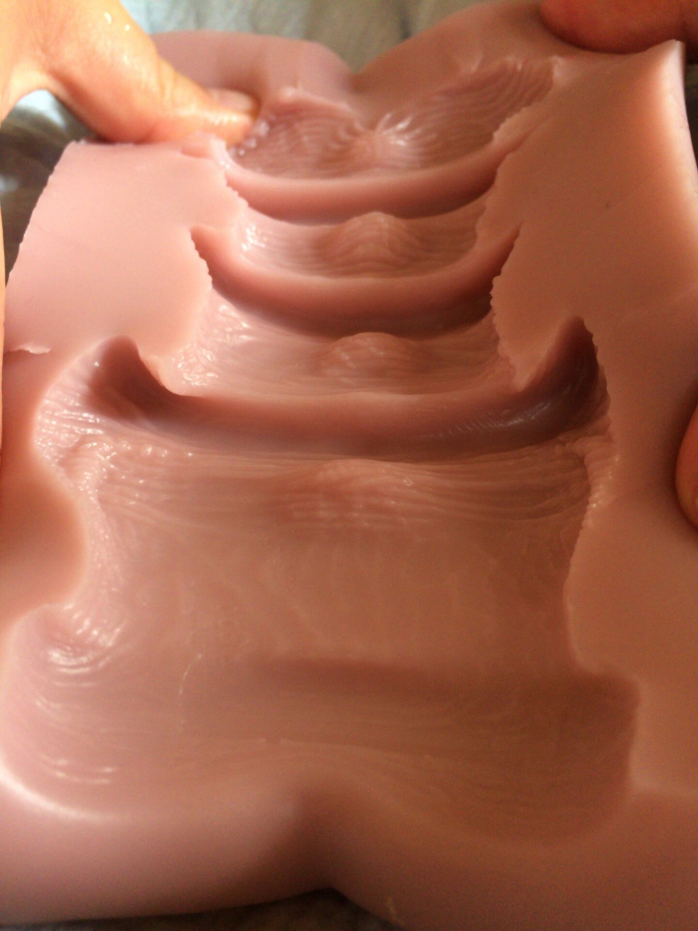 大能猫--最近被疯狂安利海豚-圣杯大百科