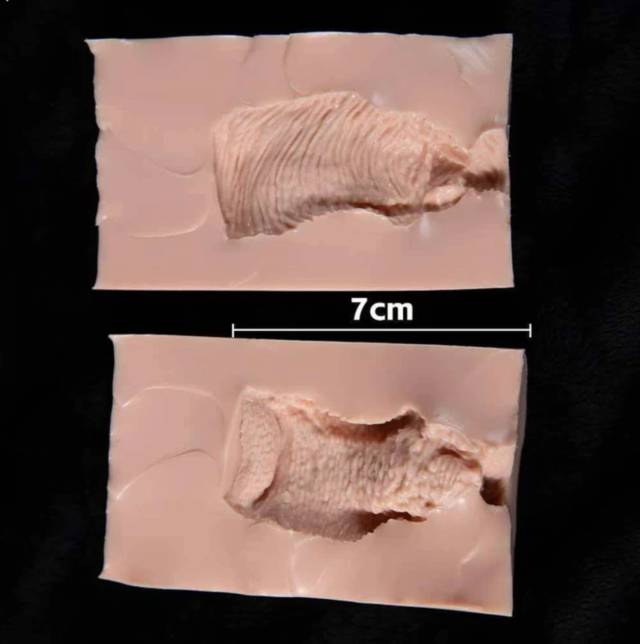 51a9737b-285a-46da-901c-83c2f1bf7b98