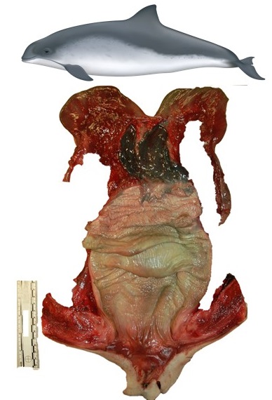 7F9DE989DB50465FC2AEF32C404EB7DD