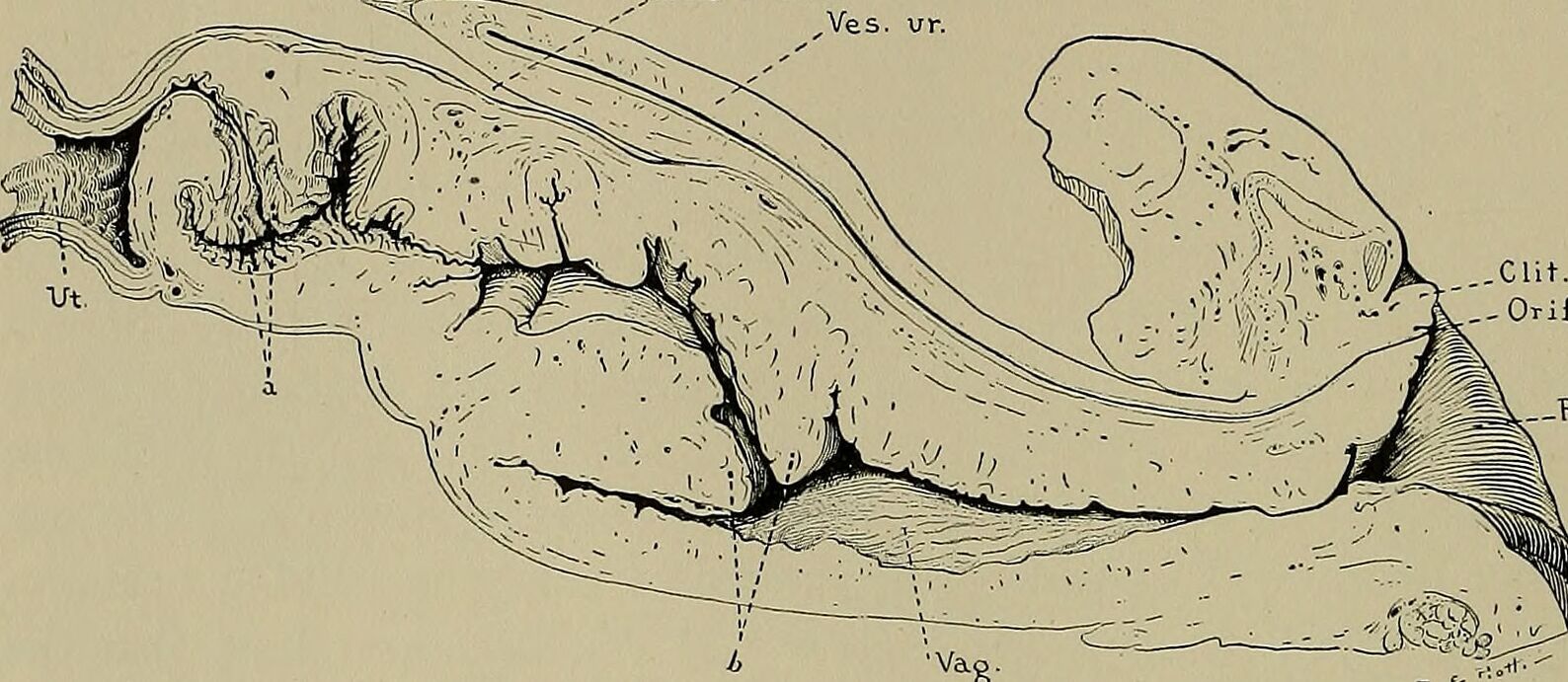 90A055ED48DC848A812E847796497AE5