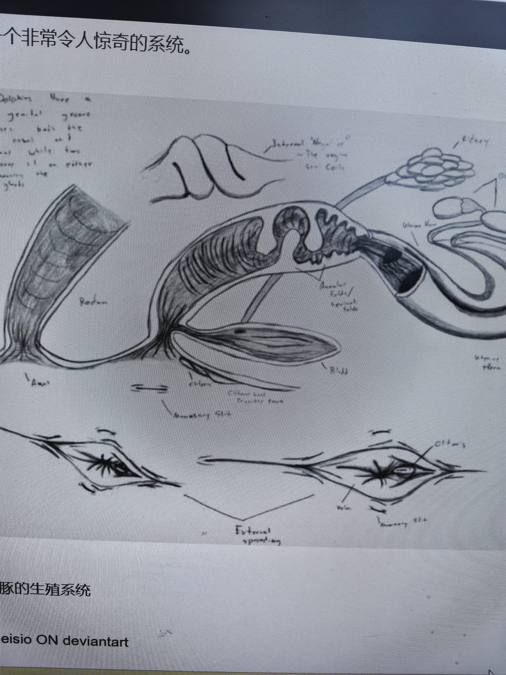 C2E45291B60AC77DADF4303DC084FC82