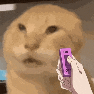 老韩的头像-圣杯大百科