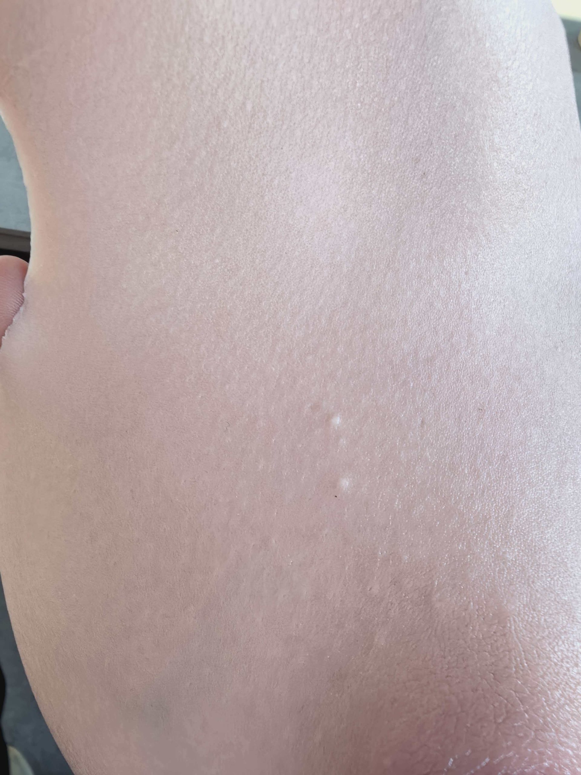 大能猫：汇报一下开发进度-圣杯大百科